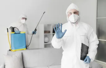 Pest Control background